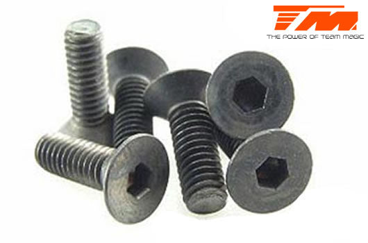 Schrauben - Senkkopf - Hex (Allen) - M4 x 8mm (6 Stk.)