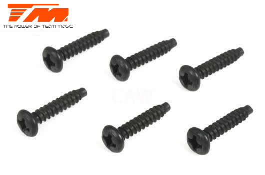 Schrauben - Rundkopf - M3 x 14mm (6 Stk.)