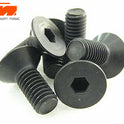 Schrauben - Senkkopf - Hex (Allen) - M5 x 12mm (6 Stk.)