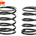 Dämpferfedern - 1/10 Touring - PRO Progressive Set - 14x22.5x1.4mm (5 Paar)